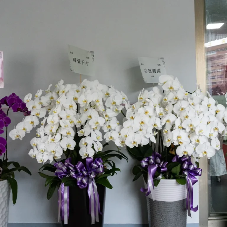 喪禮蘭花A_榛馨花藝版權所有
