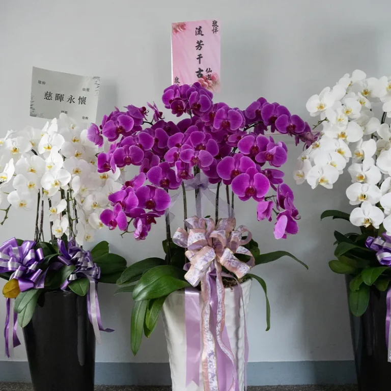 喪禮蘭花B_榛馨花藝版權所有