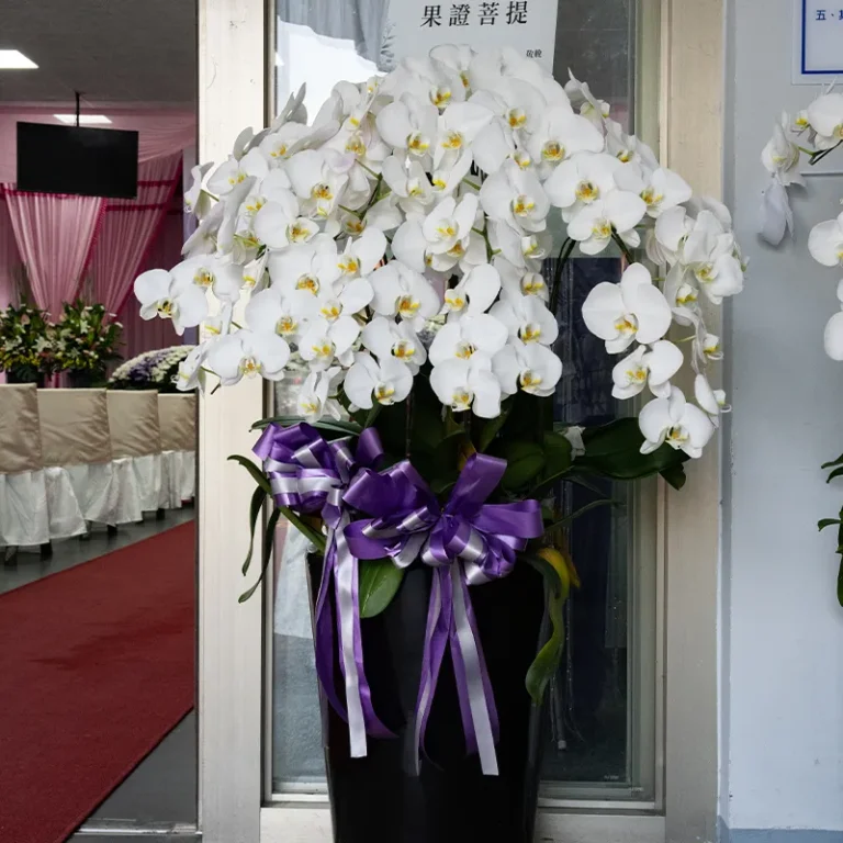 喪禮蘭花C_榛馨花藝版權所有