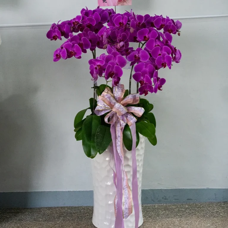 喪禮蘭花D_弘曜花藝版權所有