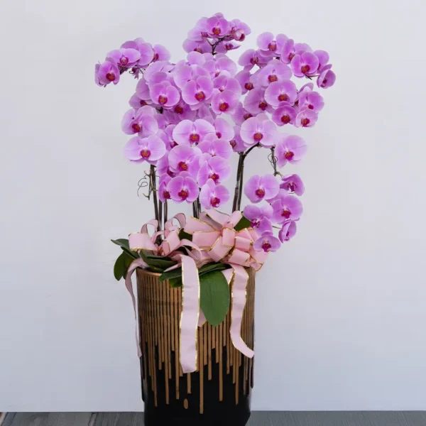 喪禮蘭花I_榛馨花藝版權所有