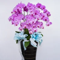 喪禮蘭花J_榛馨花藝版權所有