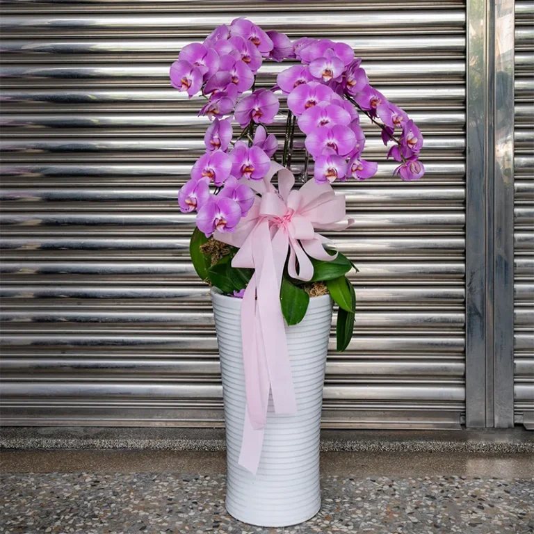 喪禮蘭花L_弘曜花藝版權所有