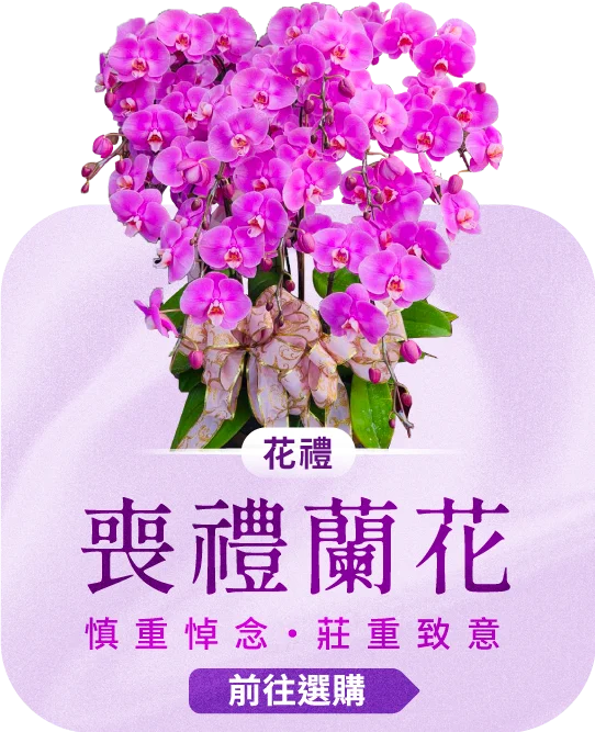 喪禮蘭花電腦版08_榛馨花藝版權所有