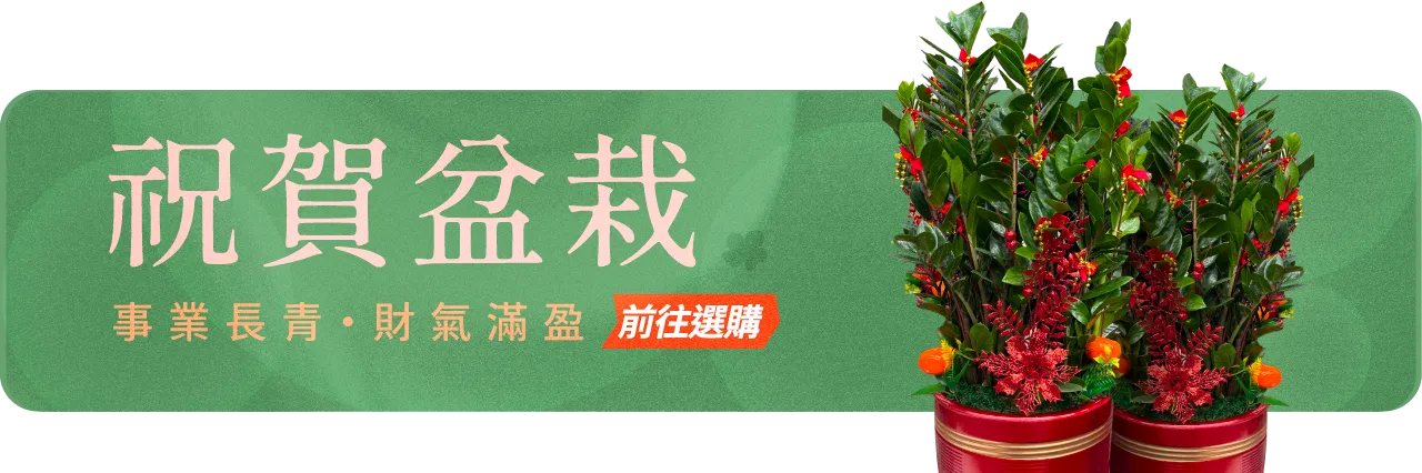 祝賀盆栽手機版08_榛馨花藝版權所有