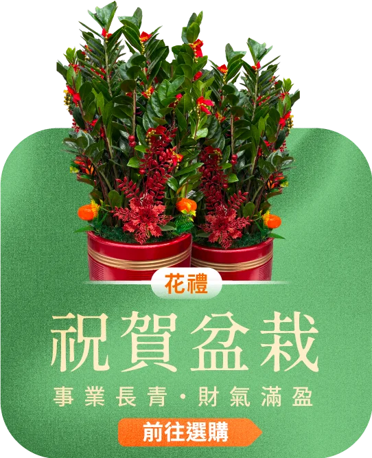 祝賀盆栽電腦版06_榛馨花藝版權所有
