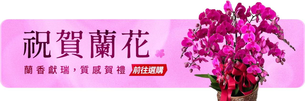祝賀蘭花手機版02_榛馨花藝版權所有