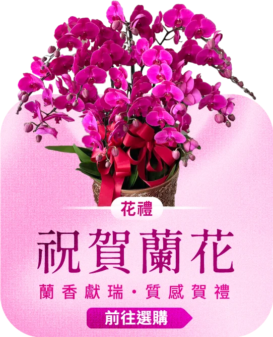 祝賀蘭花電腦版04_榛馨花藝版權所有