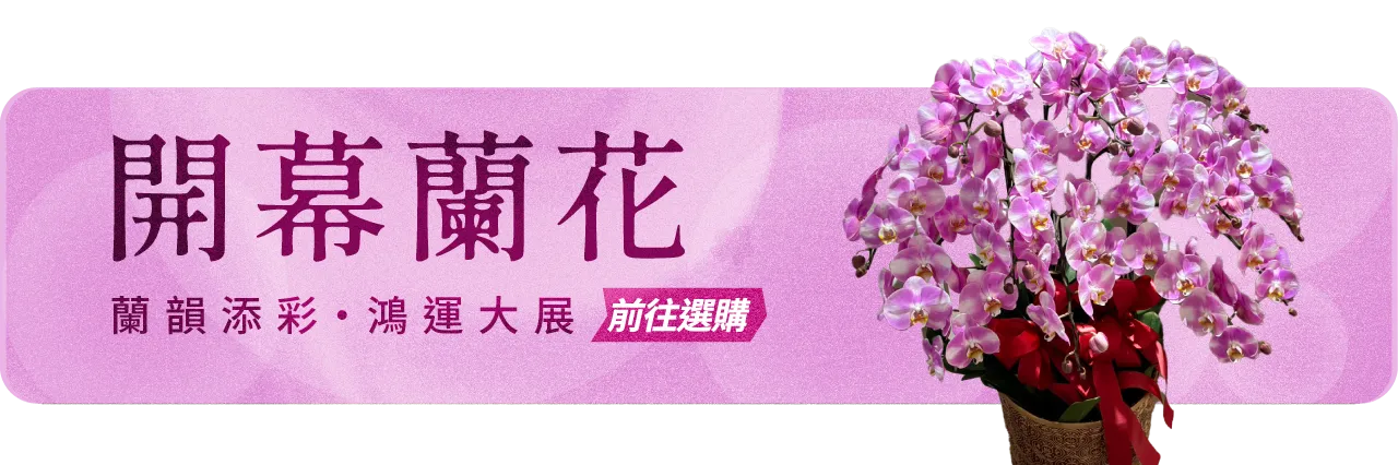 開幕蘭花手機版06_榛馨花藝版權所有