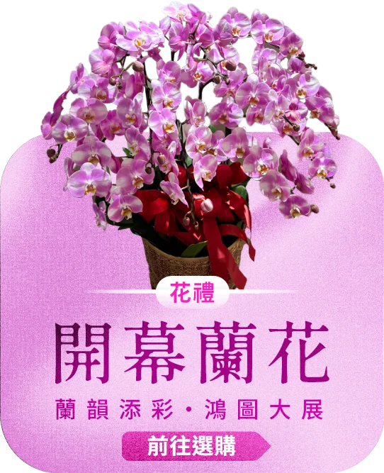 開幕蘭花電腦版05_榛馨花藝版權所有