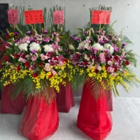 喬遷花籃A